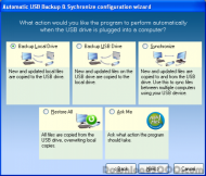 USB flash backup - Automatic USB Backup screenshot